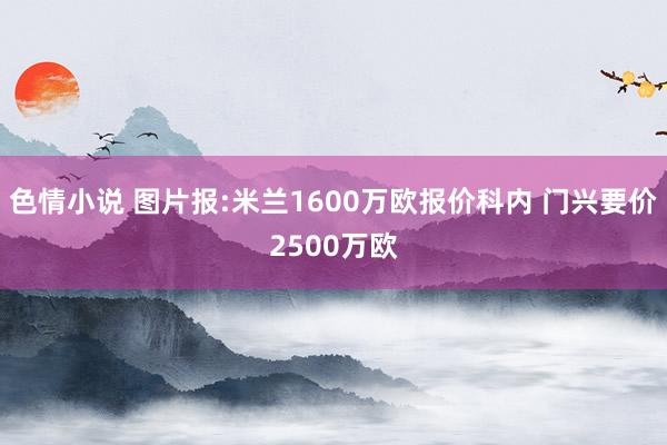 色情小说 图片报:米兰1600万欧报价科内 门兴要价2500万欧