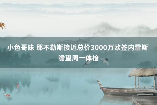 小色哥妹 那不勒斯接近总价3000万欧签内雷斯 瞻望周一体检