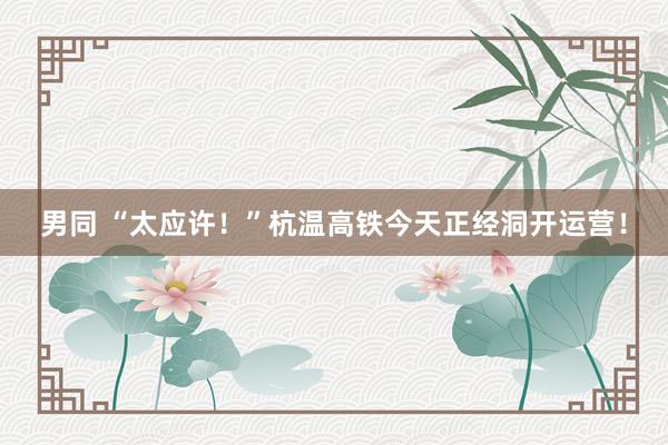 男同 “太应许！”杭温高铁今天正经洞开运营！