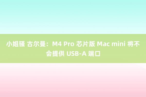 小姐骚 古尔曼：M4 Pro 芯片版 Mac mini 将不会提供 USB-A 端口