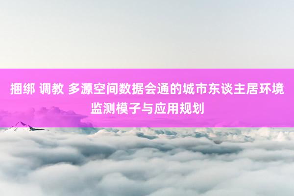 捆绑 调教 多源空间数据会通的城市东谈主居环境监测模子与应用规划