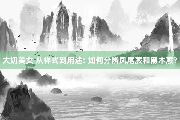 大奶美女 从样式到用途: 如何分辨凤尾蕨和黑木蕨?